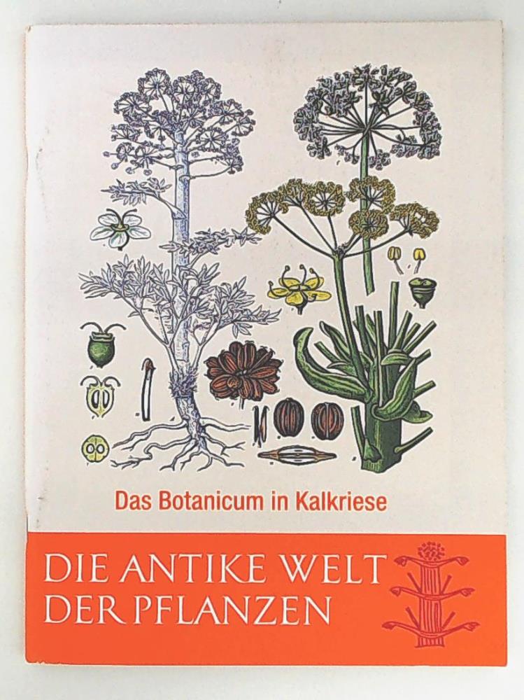 Ohne Bild
