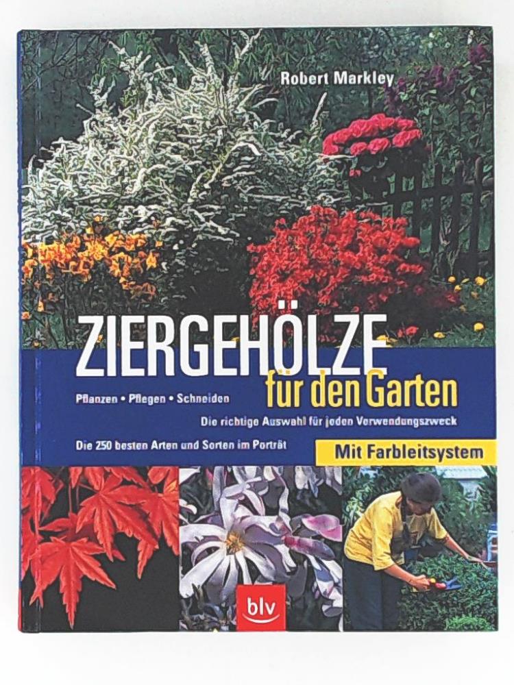 Ohne Bild