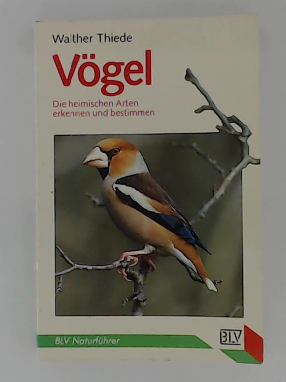Ohne Bild